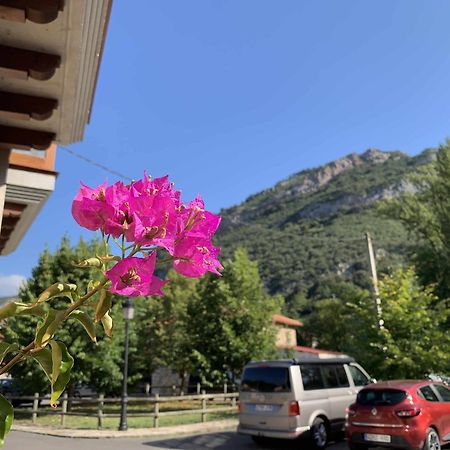 Cumbres De Los Picos Apartamento Los Abedules Poo  Bagian luar foto